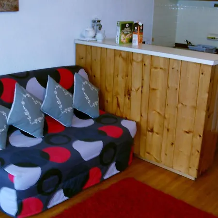 Lägenhet French Alpine Studio *