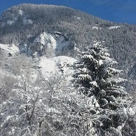 French Alpine Studio